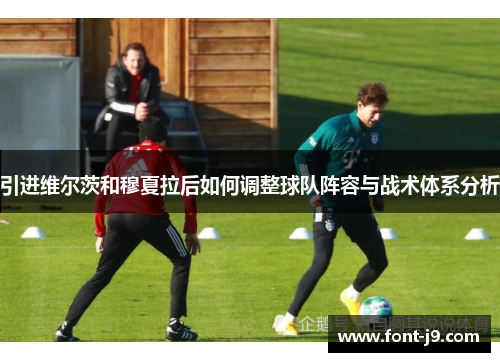 引进维尔茨和穆夏拉后如何调整球队阵容与战术体系分析