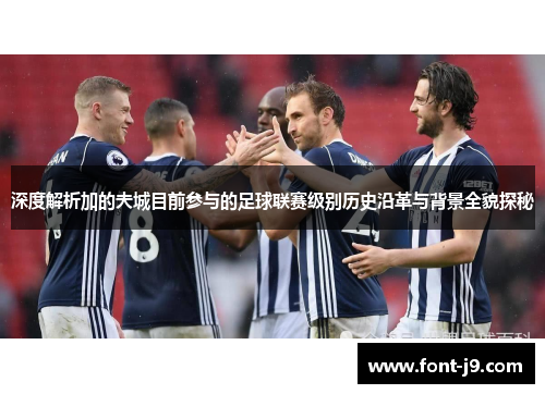 深度解析加的夫城目前参与的足球联赛级别历史沿革与背景全貌探秘