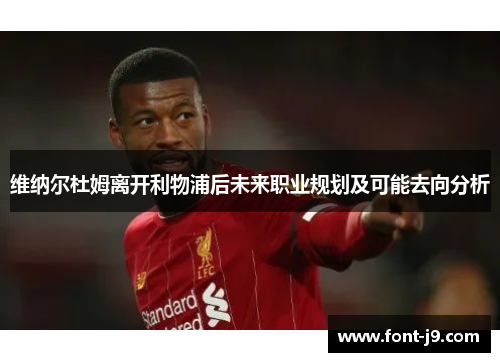 维纳尔杜姆离开利物浦后未来职业规划及可能去向分析